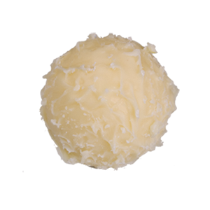 Zitronengras